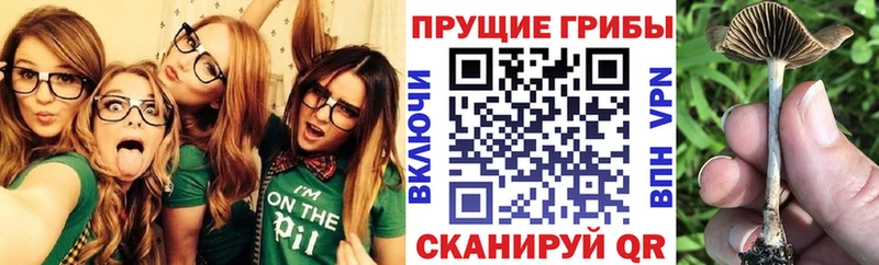 Псилоцибиновые грибы прущие грибы  Краснослободск 