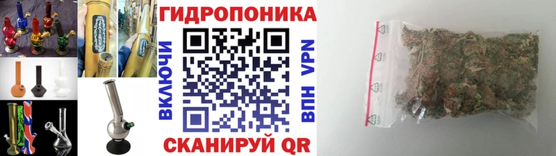 Канабис OG Kush Краснослободск